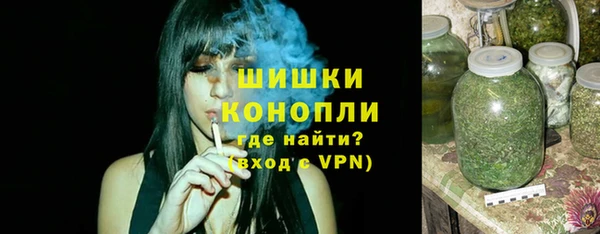 прущие грибы Аркадак