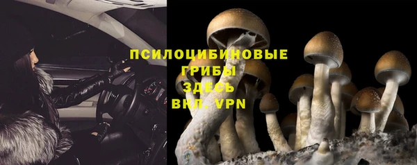 мяу мяу мука Протвино