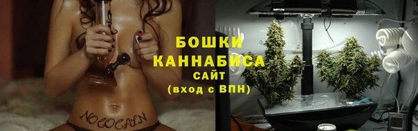 прущие грибы Аркадак