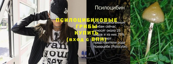 прущие грибы Аркадак