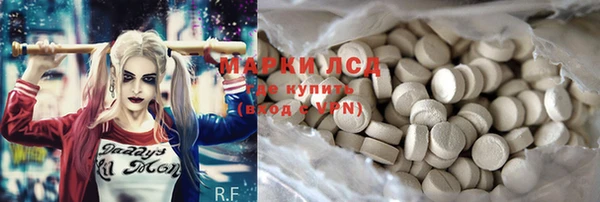 прущие грибы Аркадак